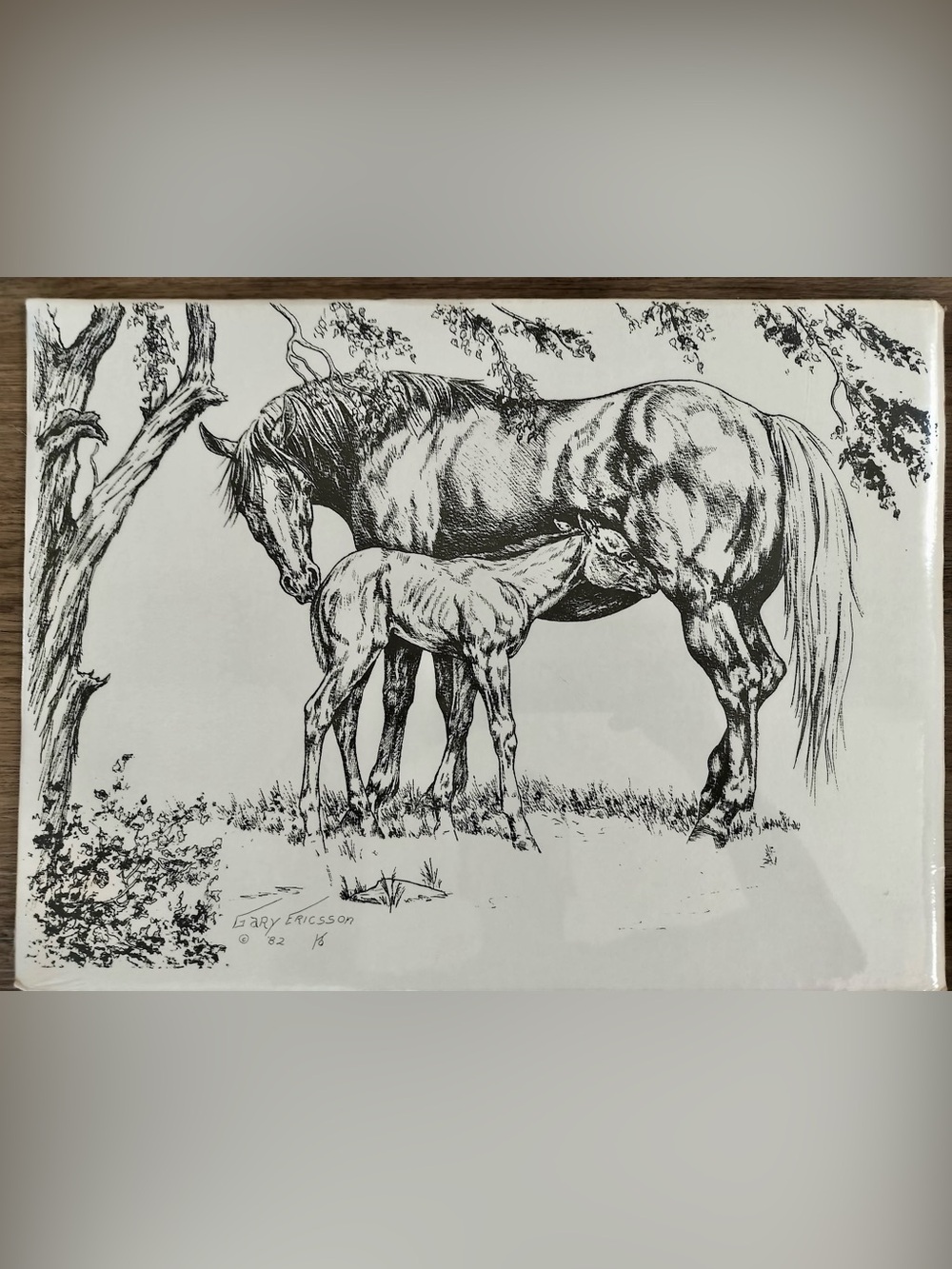 Gary Ericsson 1982 Horses Lithograph Print 12x16 Sealed Original Wrap HT Brand